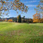 Photo Topaz imperialny wartość