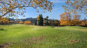 Photo Topaz imperialny wartość