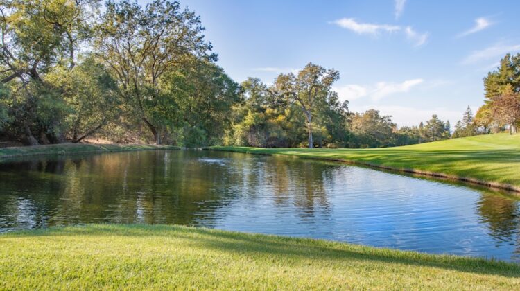 Photo natural occurrence