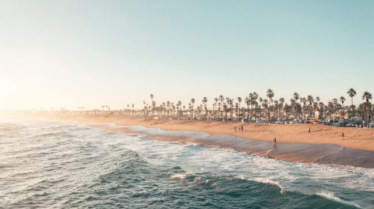 Photo uncja trojańska